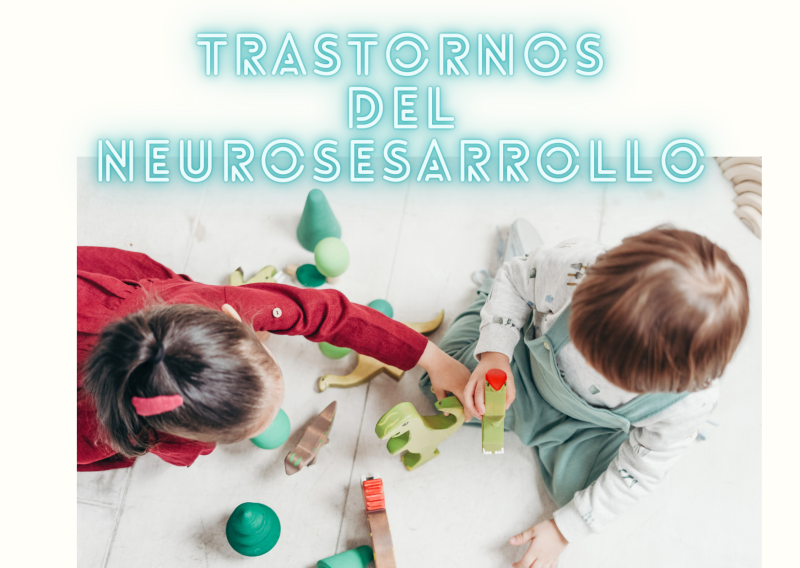 Trastornos Del Neurodesarrollo – SOCPsico